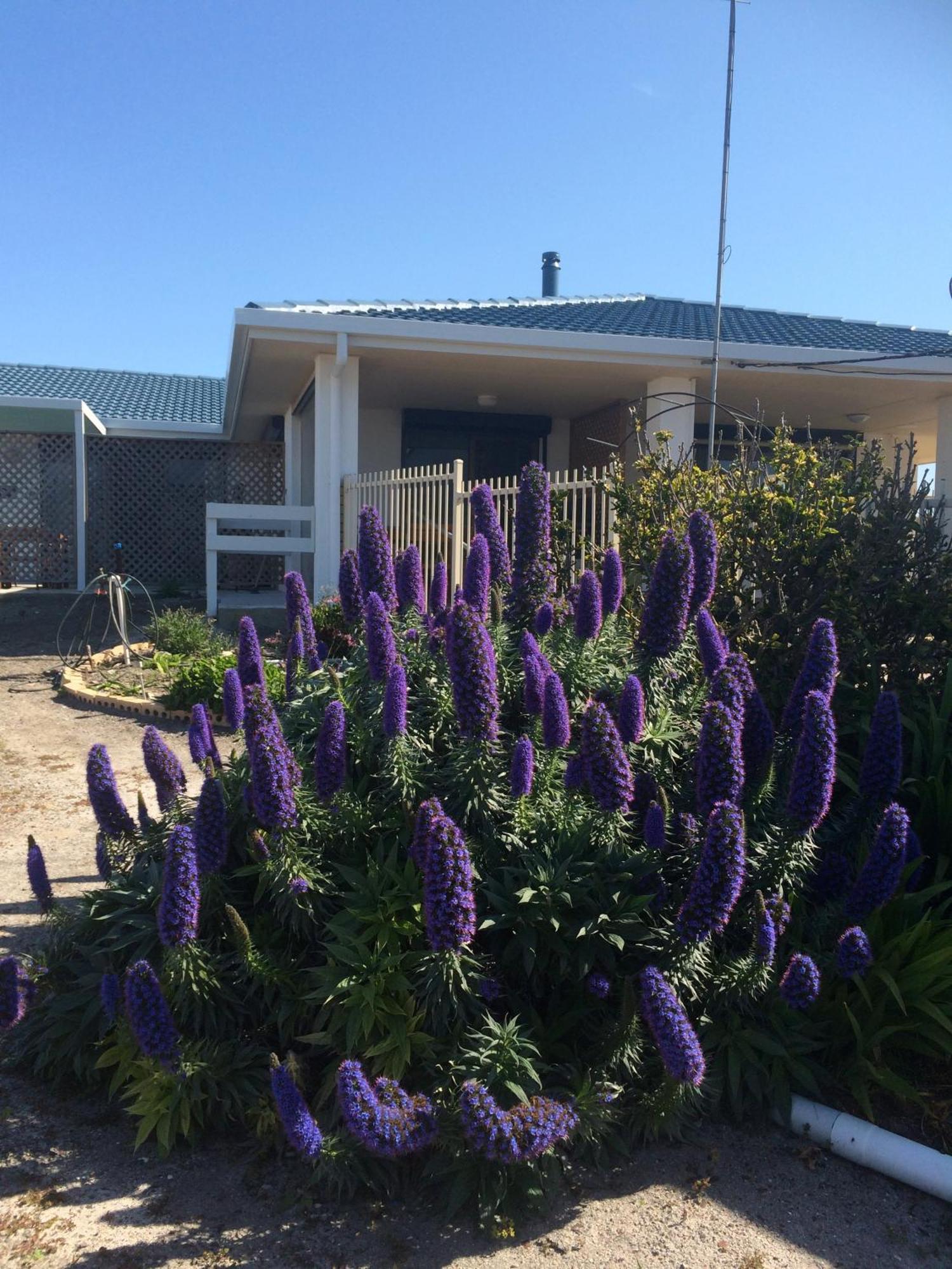 Salty Air Apartments Kingscote Kangaroo Island Екстериор снимка